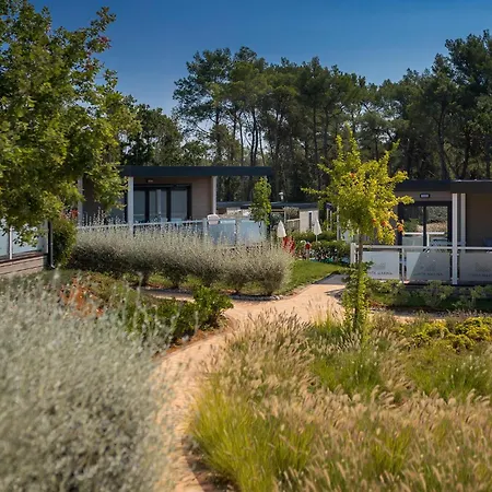 Lovely Stacaravan In Vabriga With Swimming Pool 5* Poreč